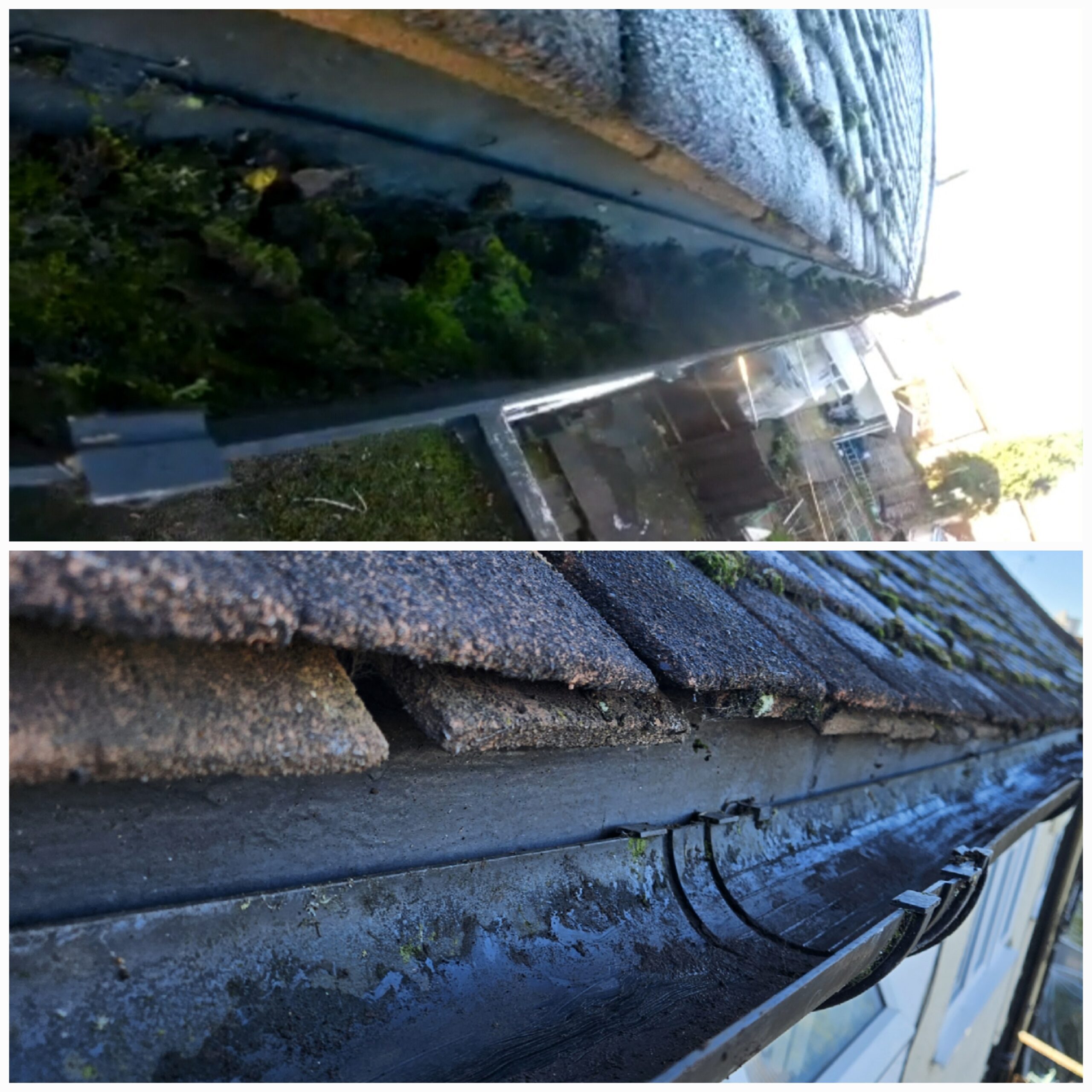 Moss-covered guttering professionally cleaned