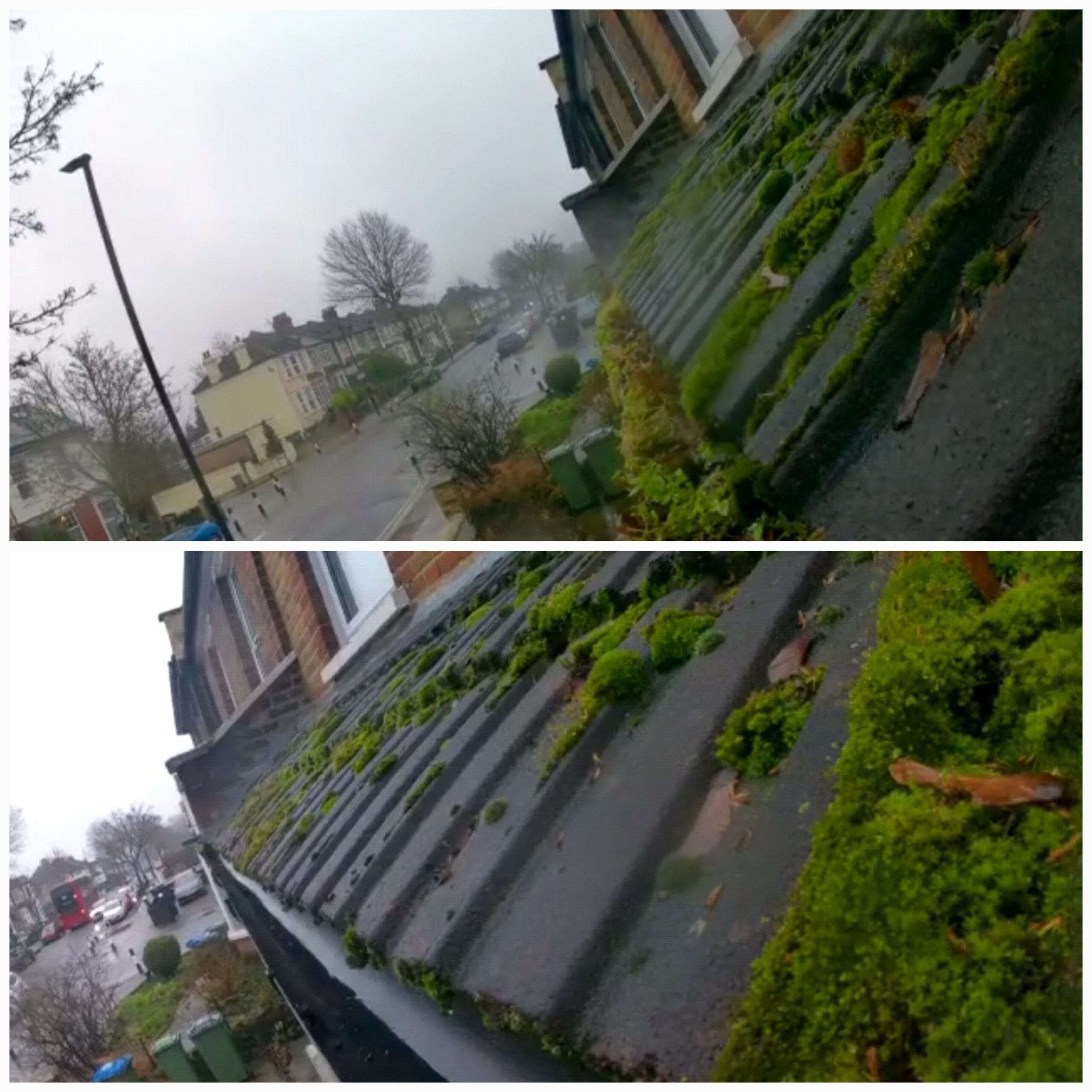 Back garden guttering full of soil – now fully clear