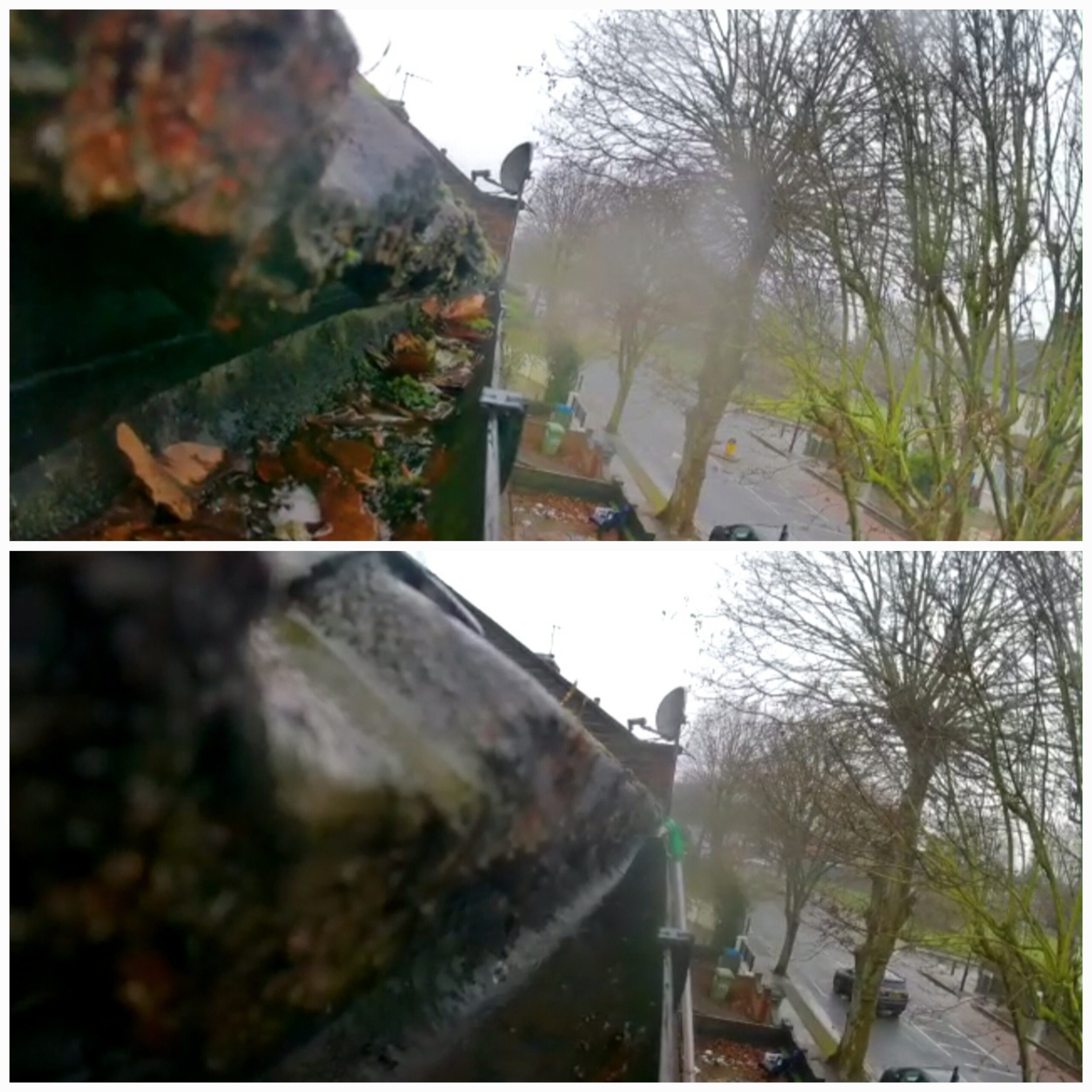 Green moss and plant matter cleared from roofline